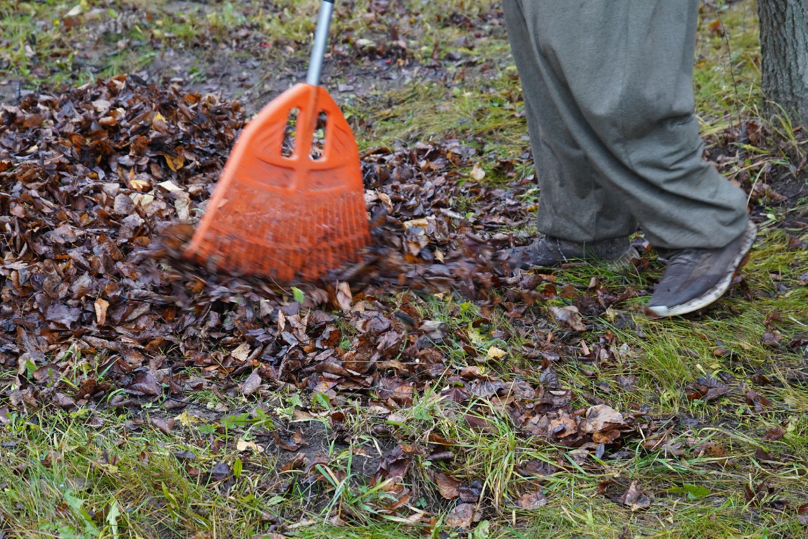 дворники, уборка листвы, ступино,