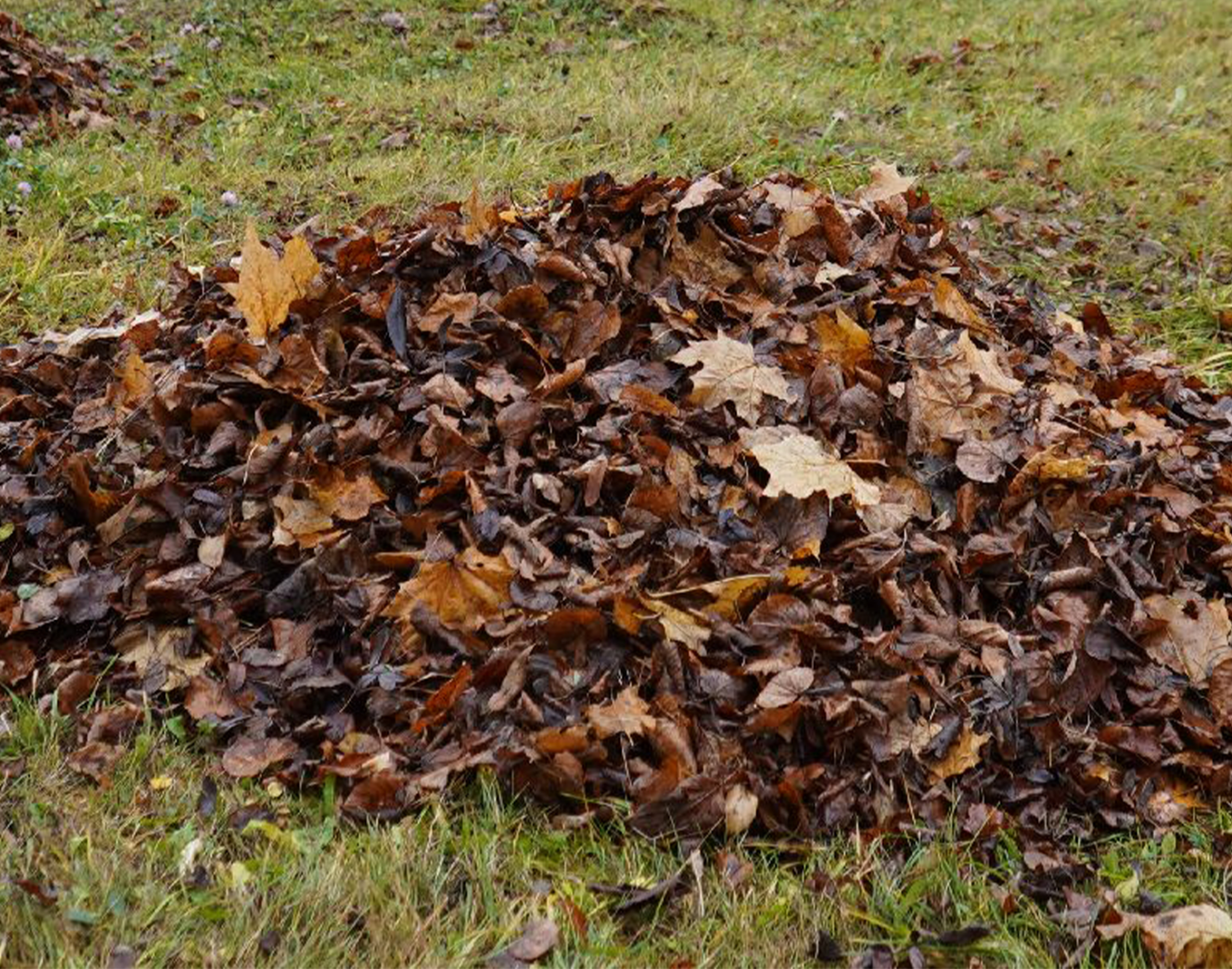 дворники, уборка листвы, ступино,