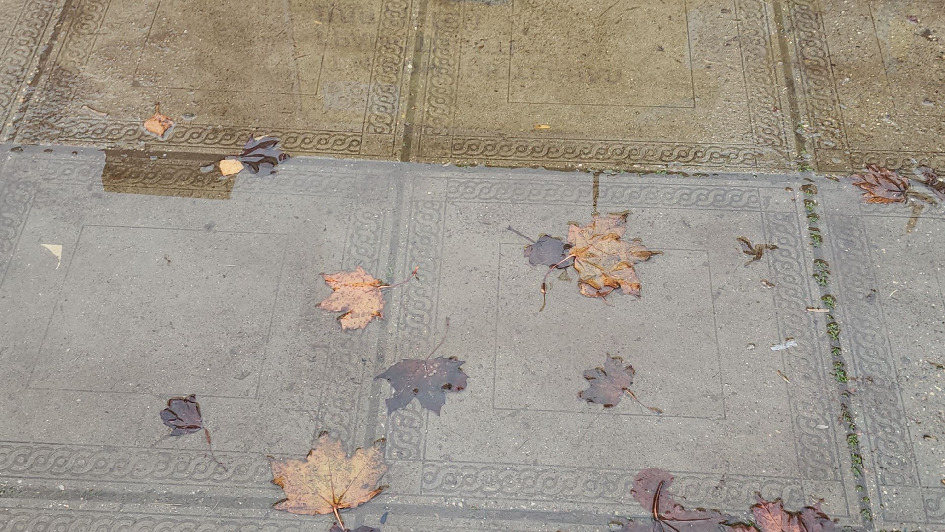 Истра, Уборка, Благоустройство ,