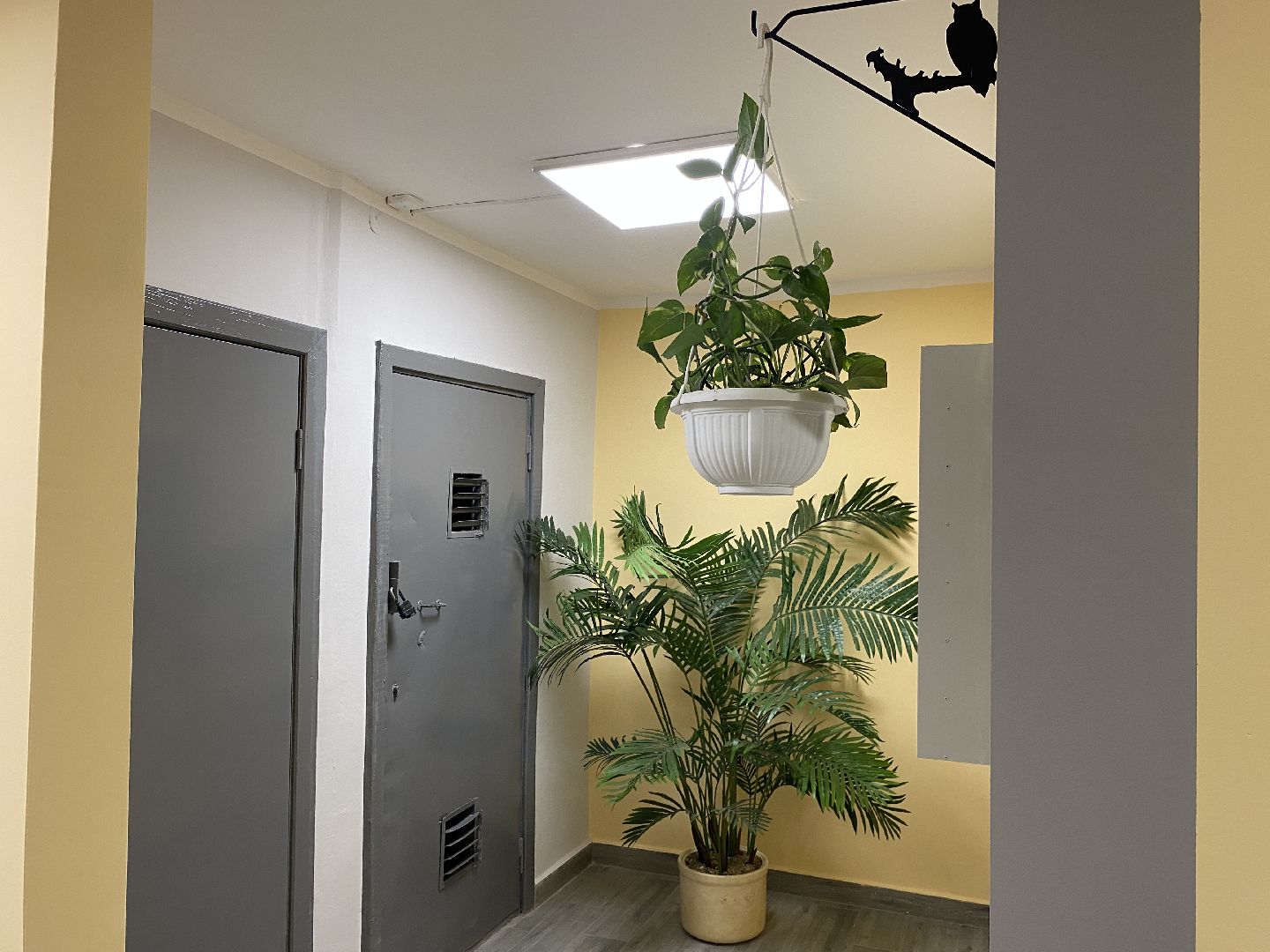 текущий ремонт, ремонт мкд, власиха мкд, микрорайон березка, совет дома,