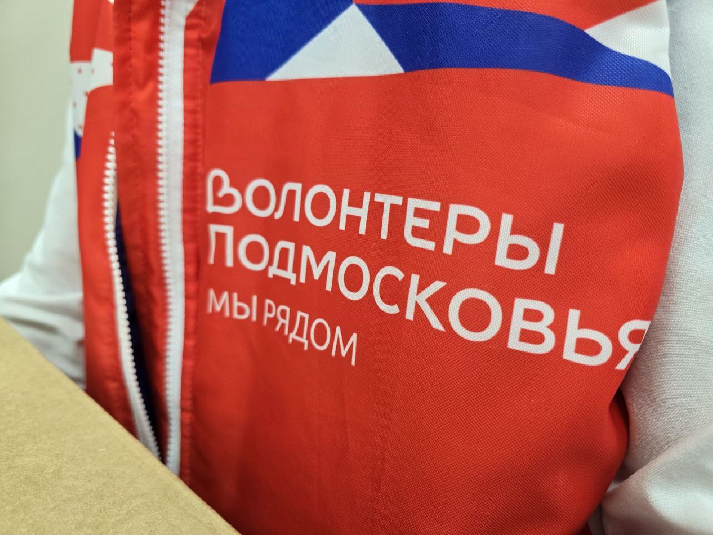 можайск, можайский муниципальный округ, подмосковье, приют для бездомных животных, пожар, волонтеры подмосковья, помощь приюту, собаки, бездомные животные,