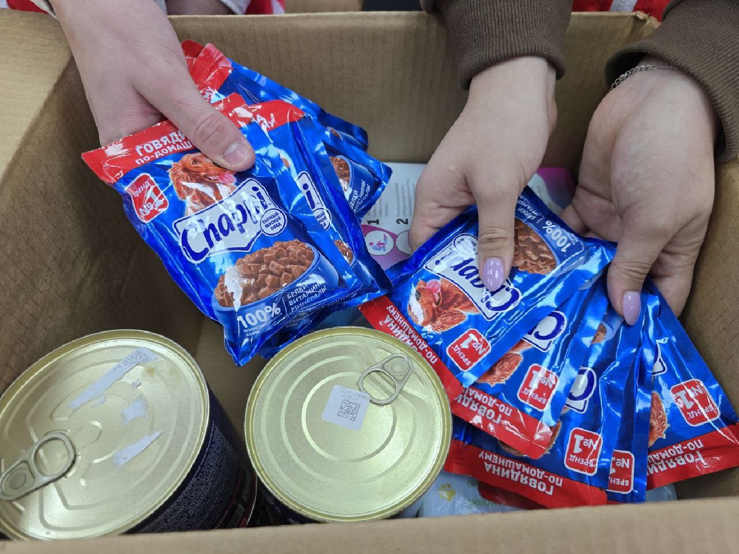 можайск, можайский муниципальный округ, подмосковье, приют для бездомных животных, пожар, волонтеры подмосковья, помощь приюту, собаки, бездомные животные,