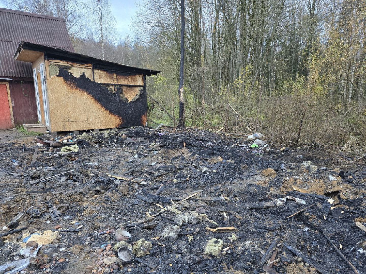 можайск, можайский муниципальный округ, подмосковье, приют для бездомных животных, пожар, волонтеры подмосковья, помощь приюту, собаки, бездомные животные,