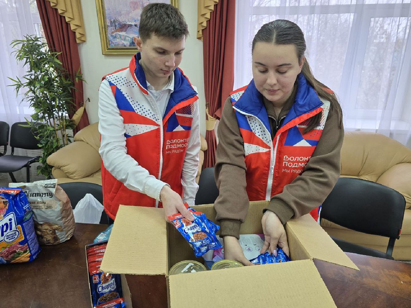 можайск, можайский муниципальный округ, подмосковье, приют для бездомных животных, пожар, волонтеры подмосковья, помощь приюту, собаки, бездомные животные,