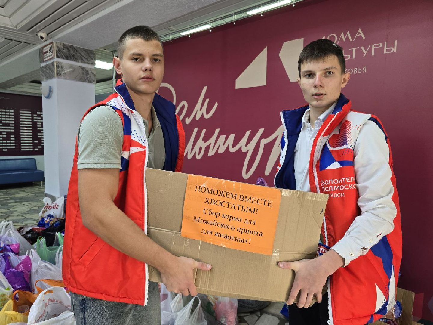 можайск, можайский муниципальный округ, подмосковье, приют для бездомных животных, пожар, волонтеры подмосковья, помощь приюту, собаки, бездомные животные,