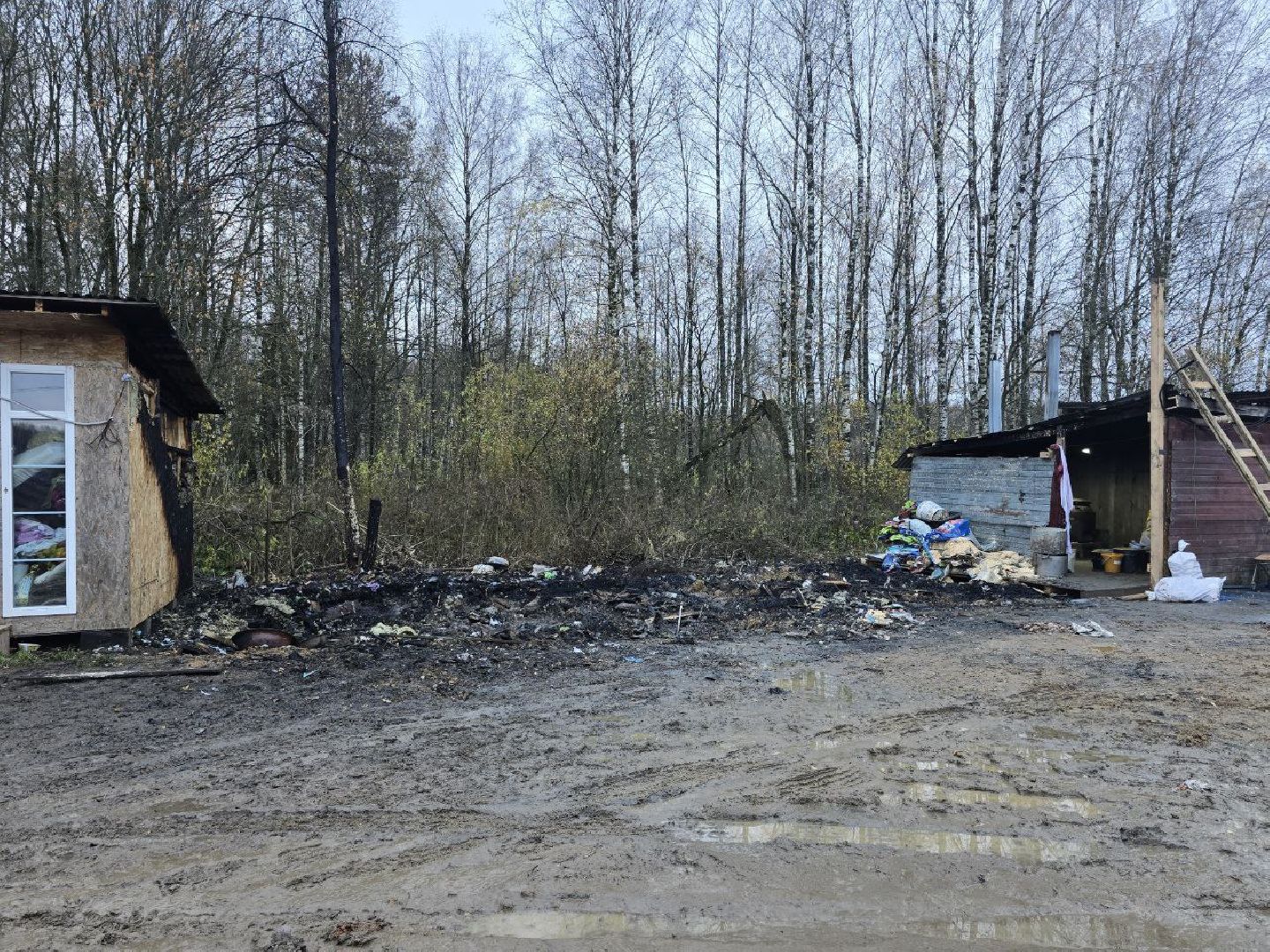 можайск, можайский муниципальный округ, подмосковье, приют для бездомных животных, пожар, волонтеры подмосковья, помощь приюту, собаки, бездомные животные,