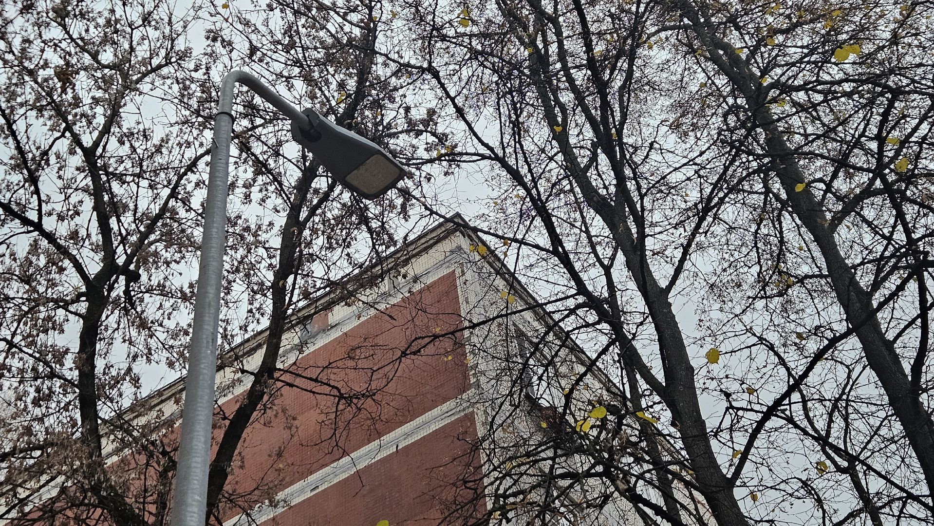 долгопрудный, благоустройство, мбу благоустройство, освещение, освещение улиц, фонари, фонарь,