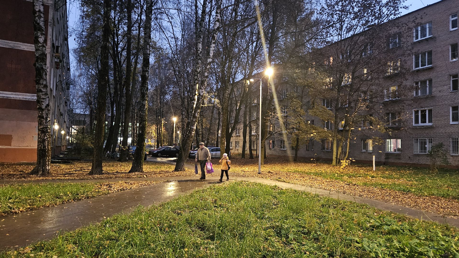 долгопрудный, благоустройство, мбу благоустройство, освещение, освещение улиц, фонари, фонарь,
