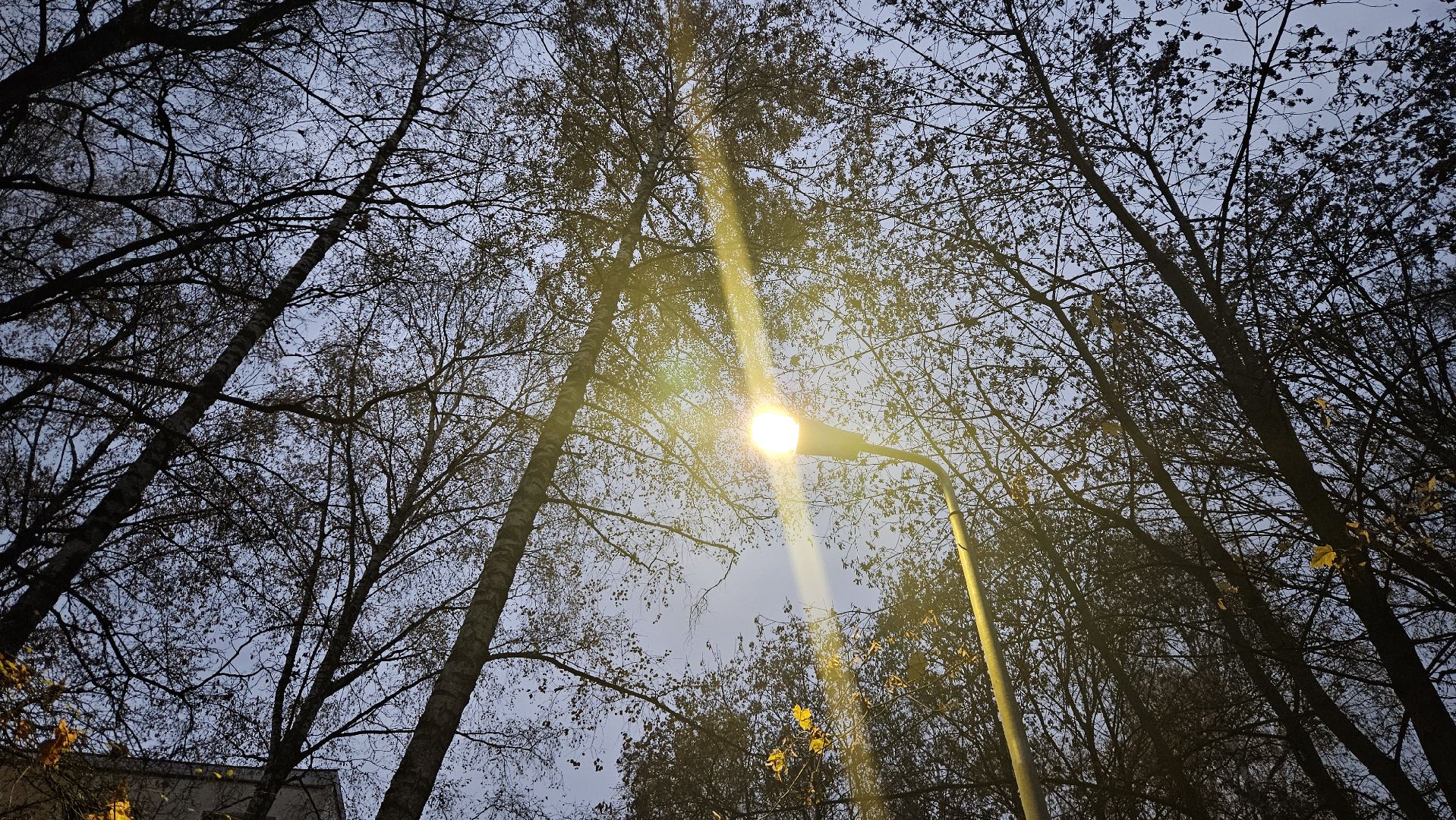 долгопрудный, благоустройство, мбу благоустройство, освещение, освещение улиц, фонари, фонарь,