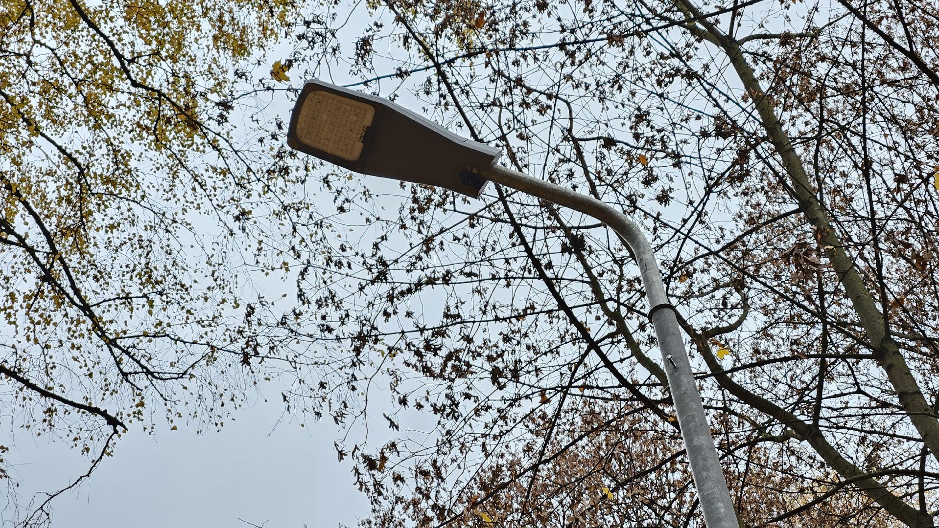 долгопрудный, благоустройство, мбу благоустройство, освещение, освещение улиц, фонари, фонарь,