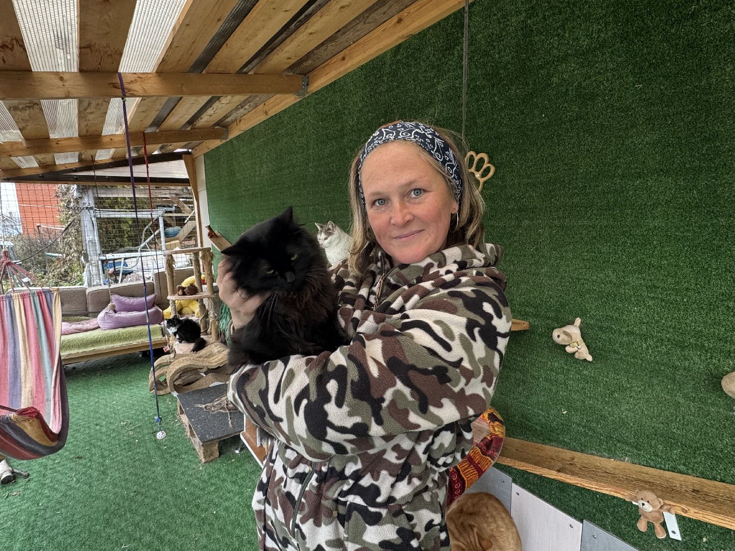 Сергиев Посад, приют бездомных животных, помощь животным,