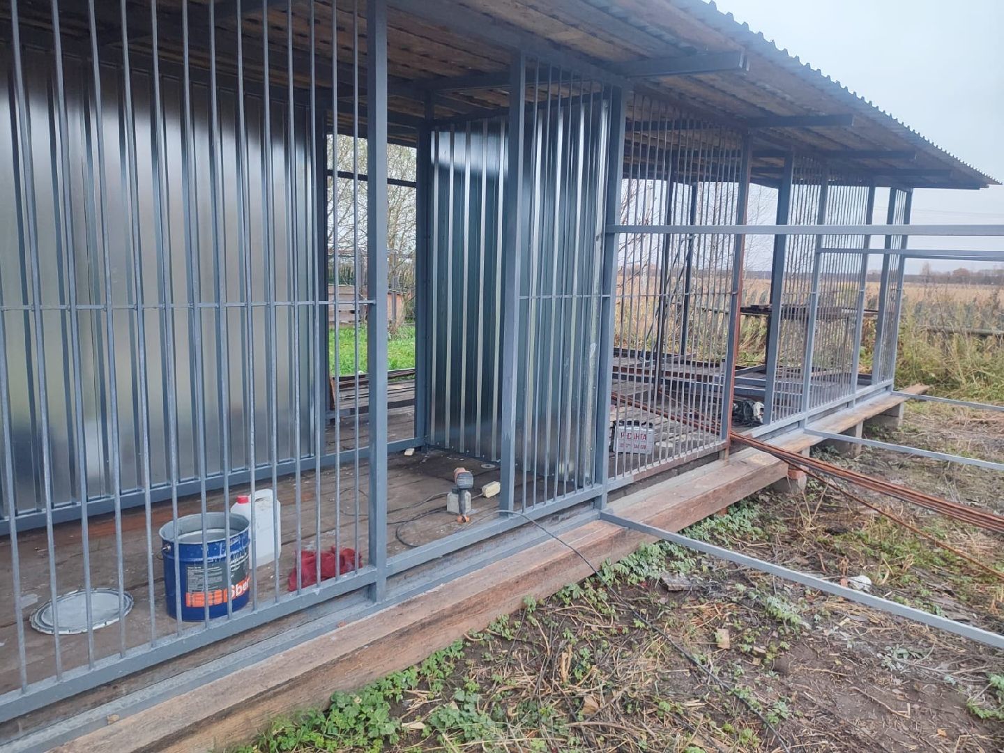 Сергиев Посад, приют бездомных животных, помощь животным,