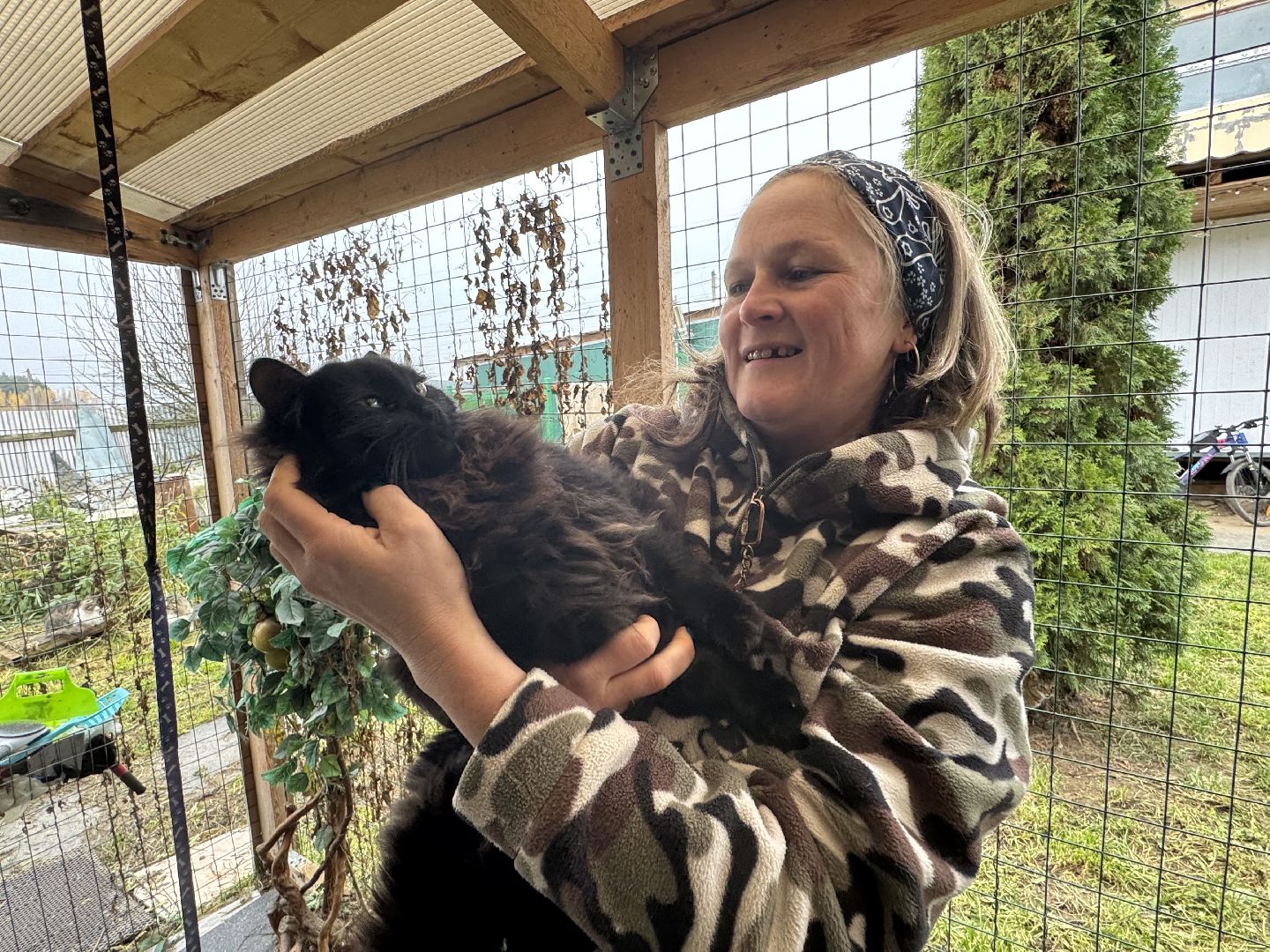 Сергиев Посад, приют бездомных животных, помощь животным,