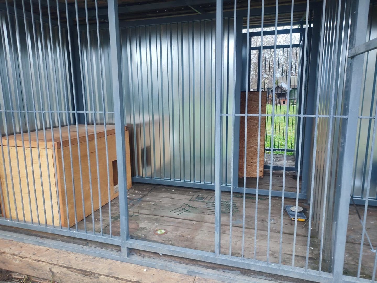 Сергиев Посад, приют бездомных животных, помощь животным,