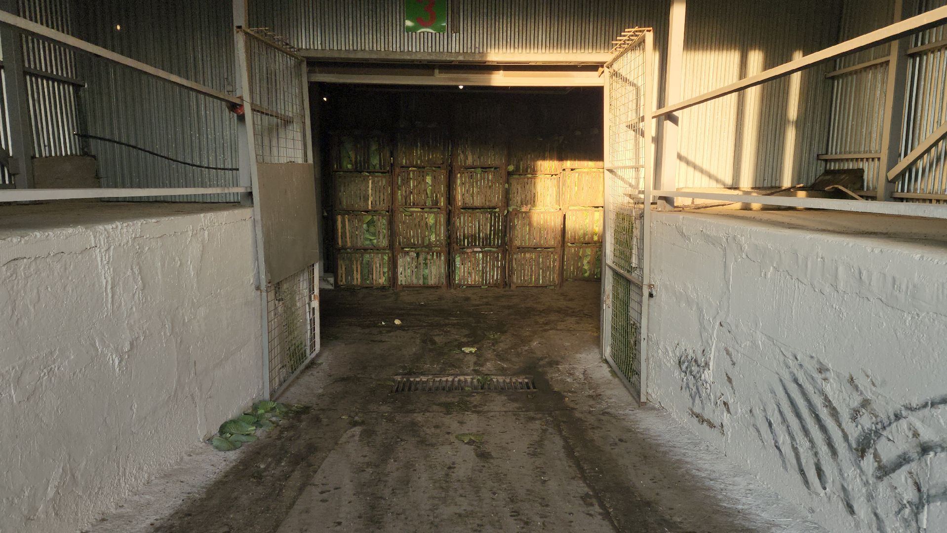 серпухов, ао дашковка, урожай-2025 в серпухове, овощехранилище в серпухове, сельское хозяйство в серпухове,