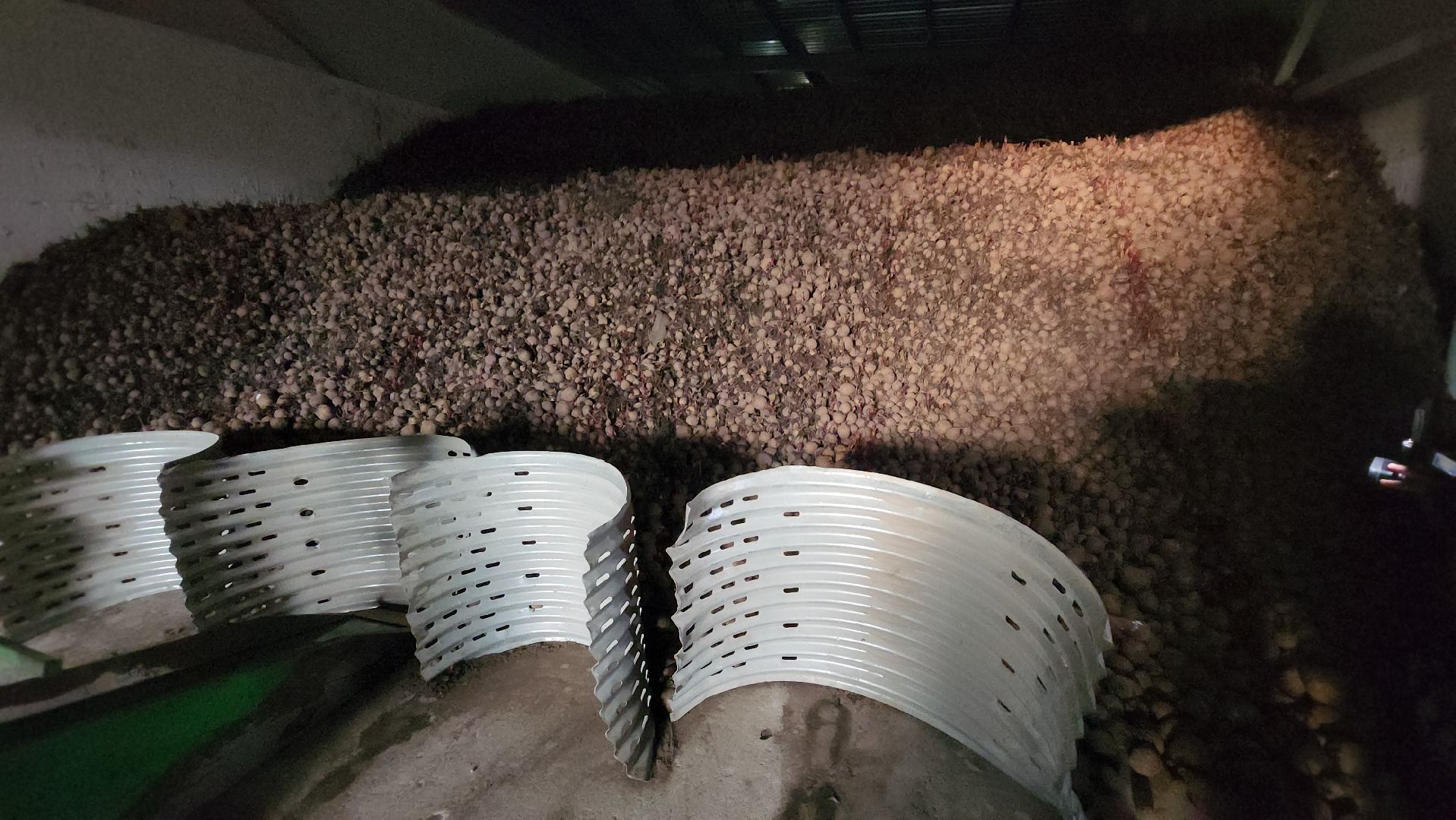 серпухов, ао дашковка, урожай-2025 в серпухове, овощехранилище в серпухове, сельское хозяйство в серпухове,