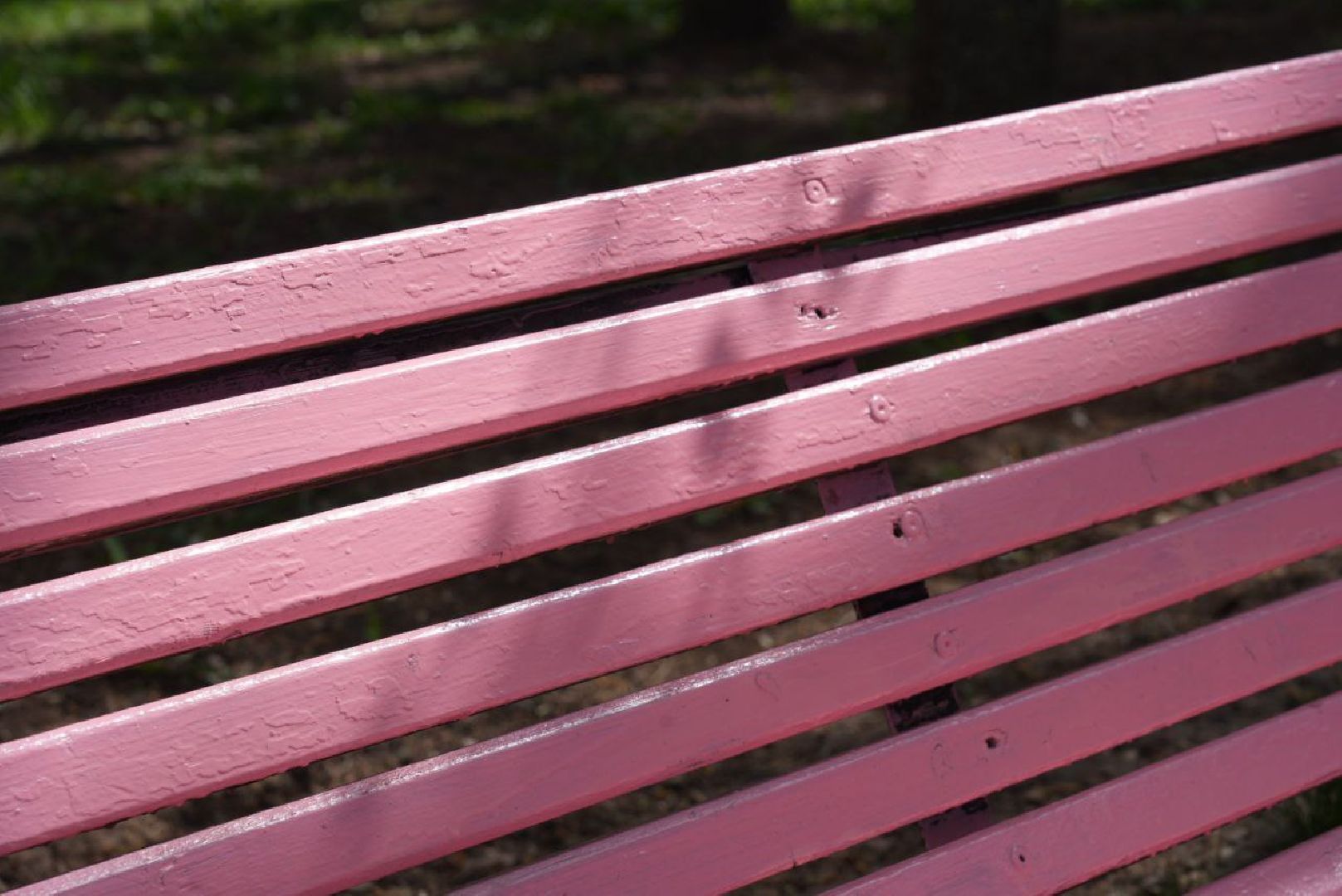 Сергиев Посад, Сергиево-Посадский городской округ, Лавочки, Перемены, Улицы города, Отдых, Жители, Благоустройство