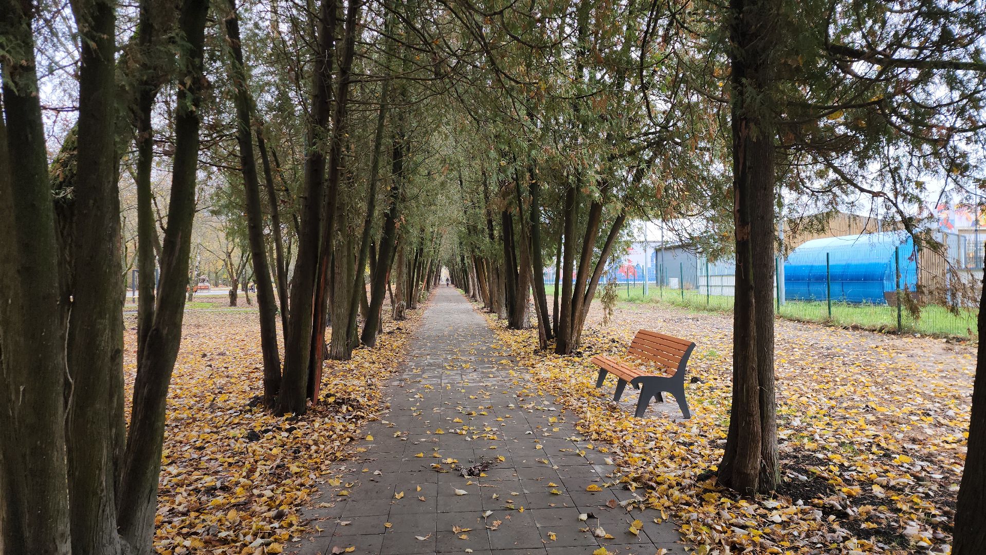серпухов, подмосковье, площадка для выгула собак,