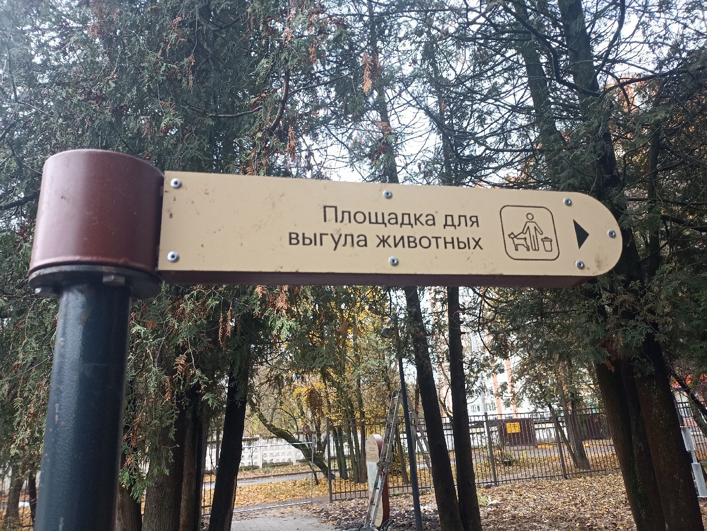 серпухов, подмосковье, площадка для выгула собак,