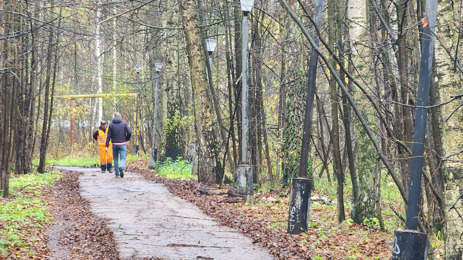 осенняя уборка, комбинат благоустройства, протвино,