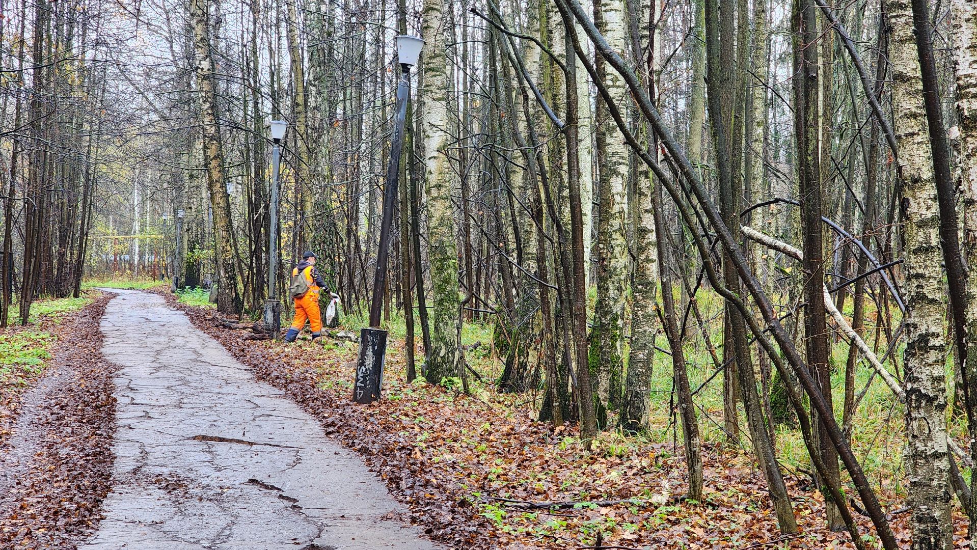 осенняя уборка, комбинат благоустройства, протвино,