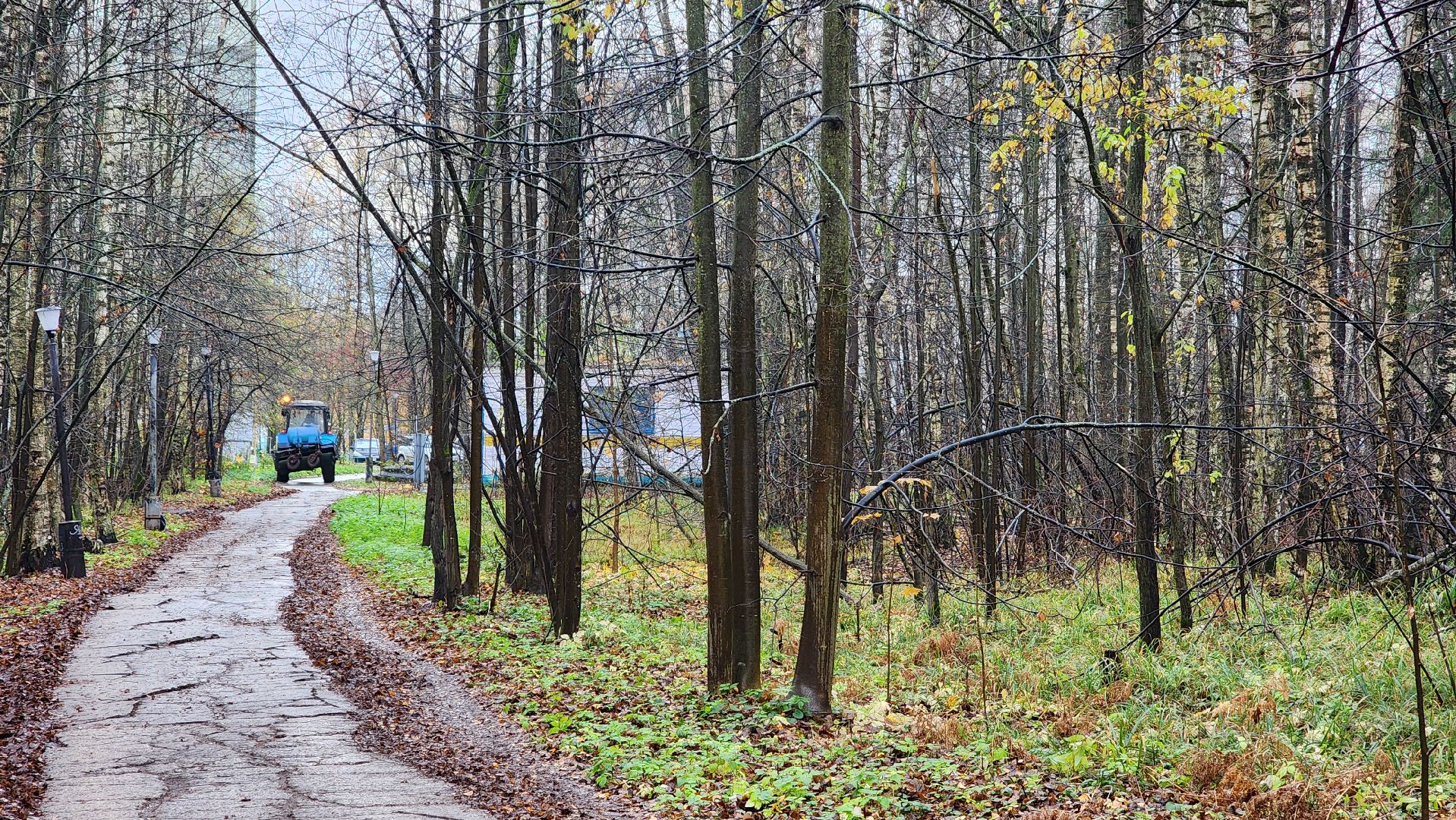 осенняя уборка, комбинат благоустройства, протвино,