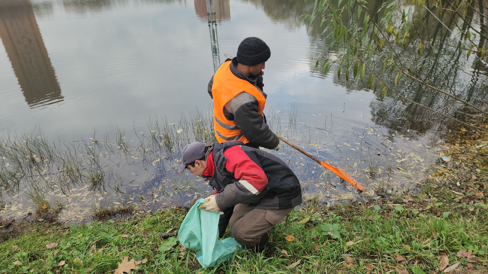 Люберцы, наташинские пруды, наташинский парк, очистка прибрежной зоны,