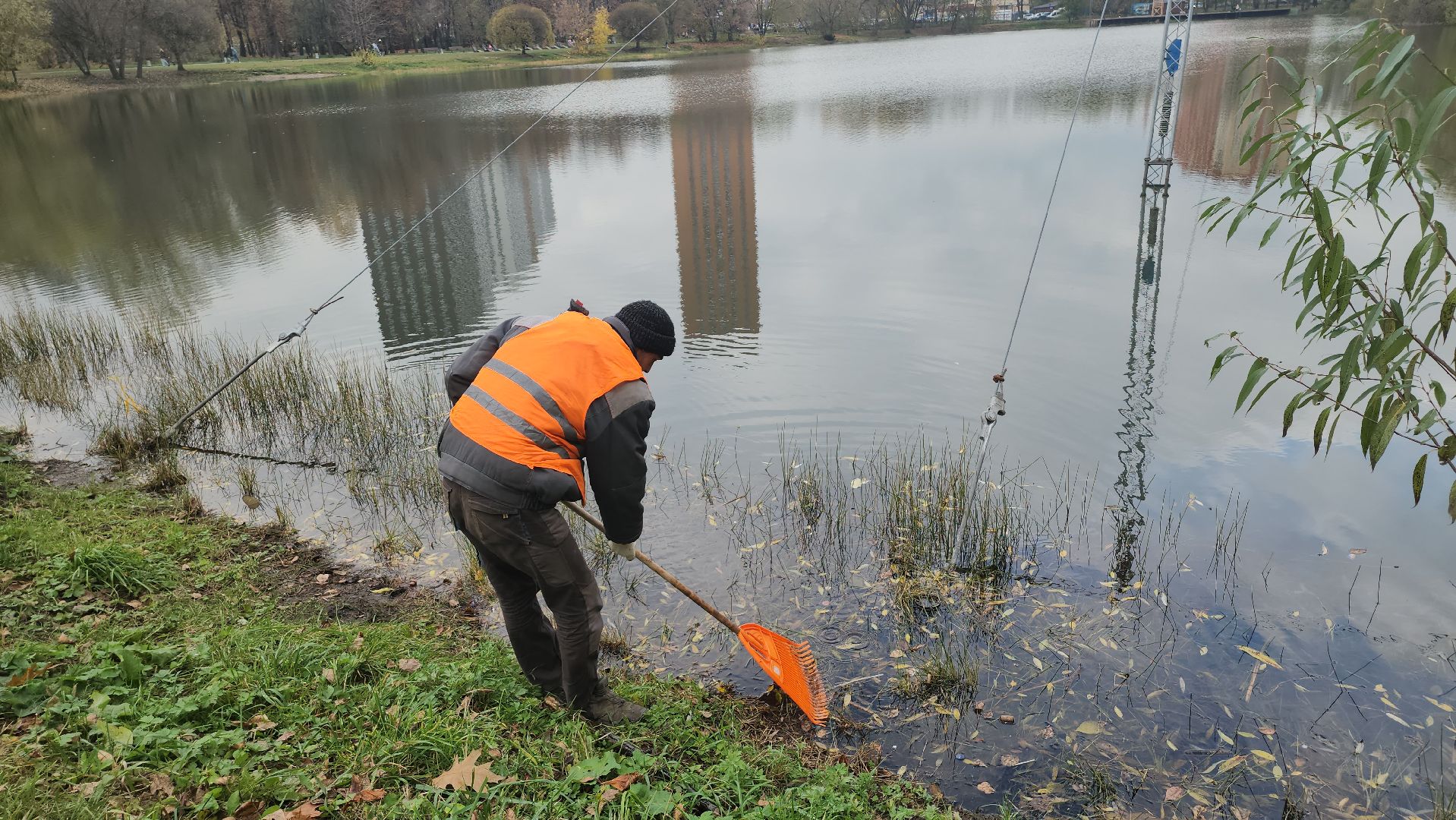 Люберцы, наташинские пруды, наташинский парк, очистка прибрежной зоны,