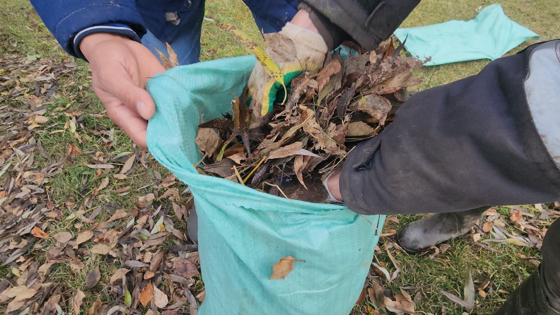 Люберцы, наташинские пруды, наташинский парк, очистка прибрежной зоны,