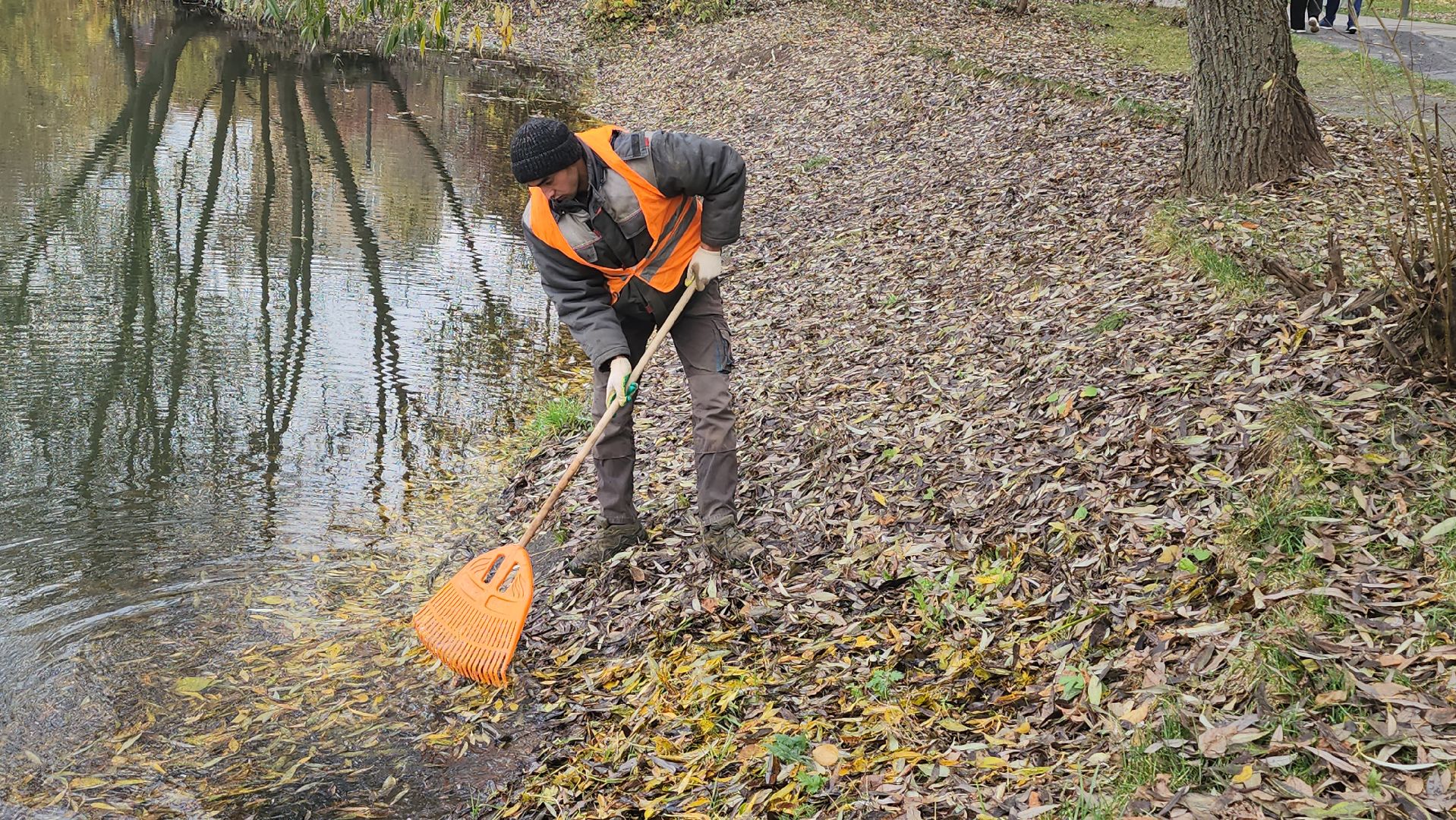 Люберцы, наташинские пруды, наташинский парк, очистка прибрежной зоны,
