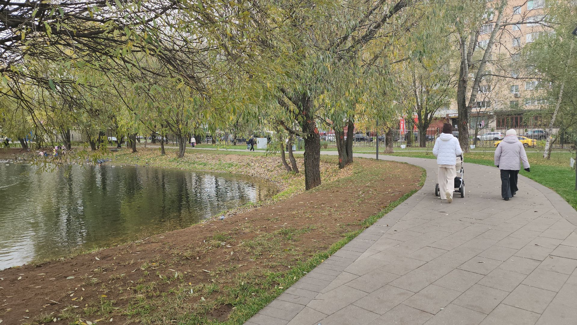 Люберцы, наташинские пруды, наташинский парк, очистка прибрежной зоны,