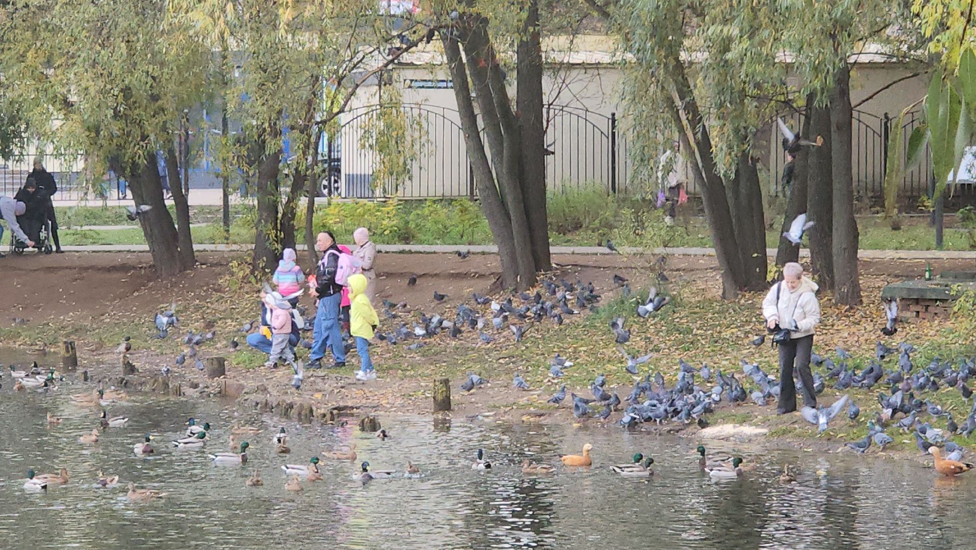 Люберцы, наташинские пруды, наташинский парк, очистка прибрежной зоны,