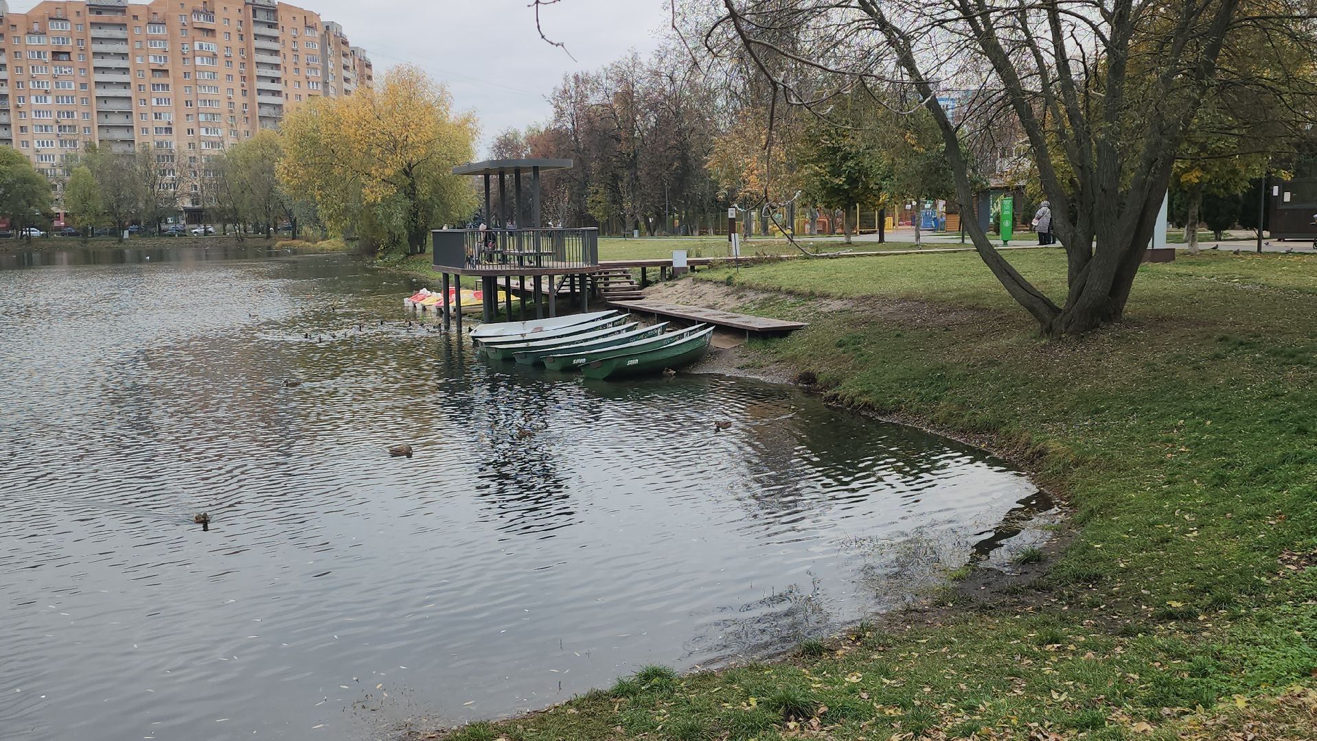 Люберцы, наташинские пруды, наташинский парк, очистка прибрежной зоны,