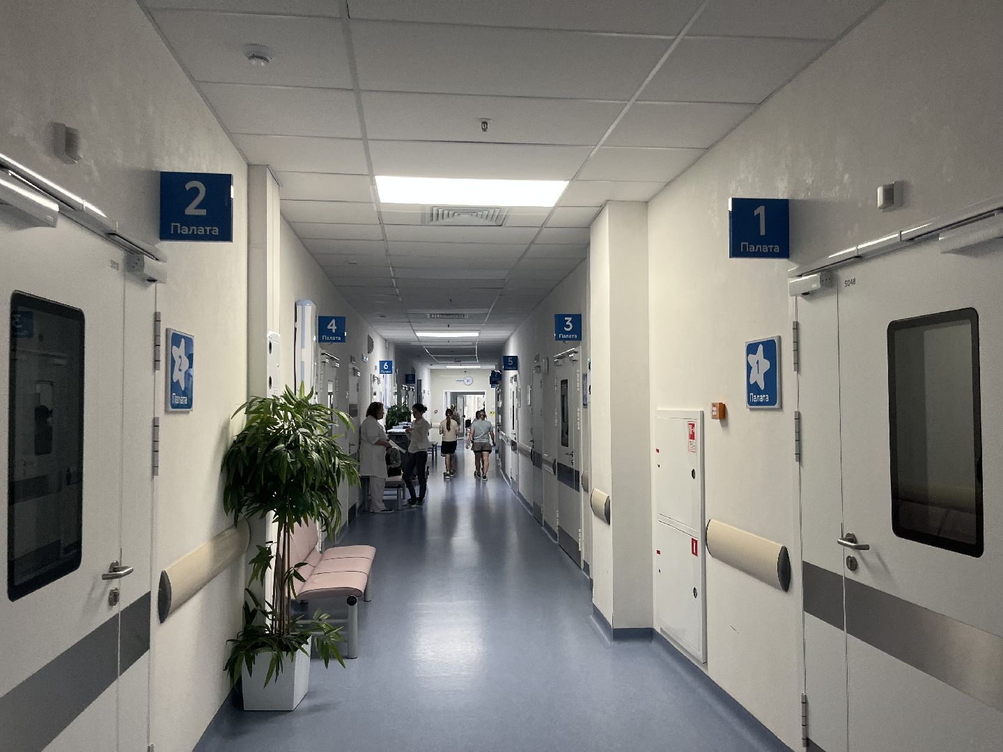 эндокринолог, красногорск, рошаль,