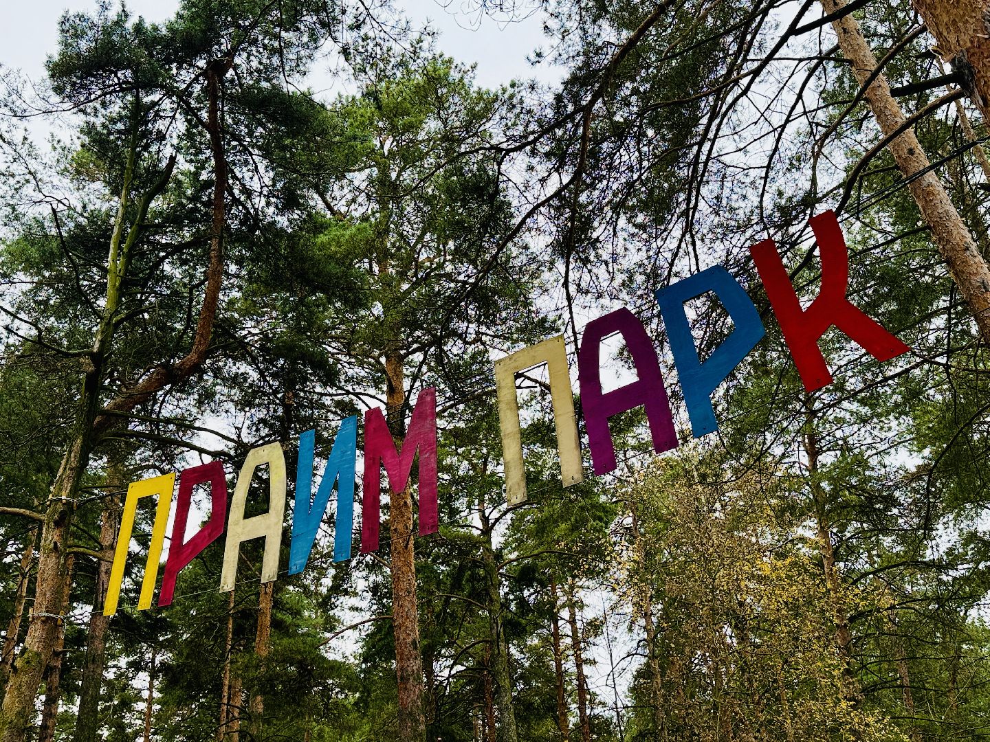 каток, раменское, лесной каток, прайм парк,  зима в подмосковье,