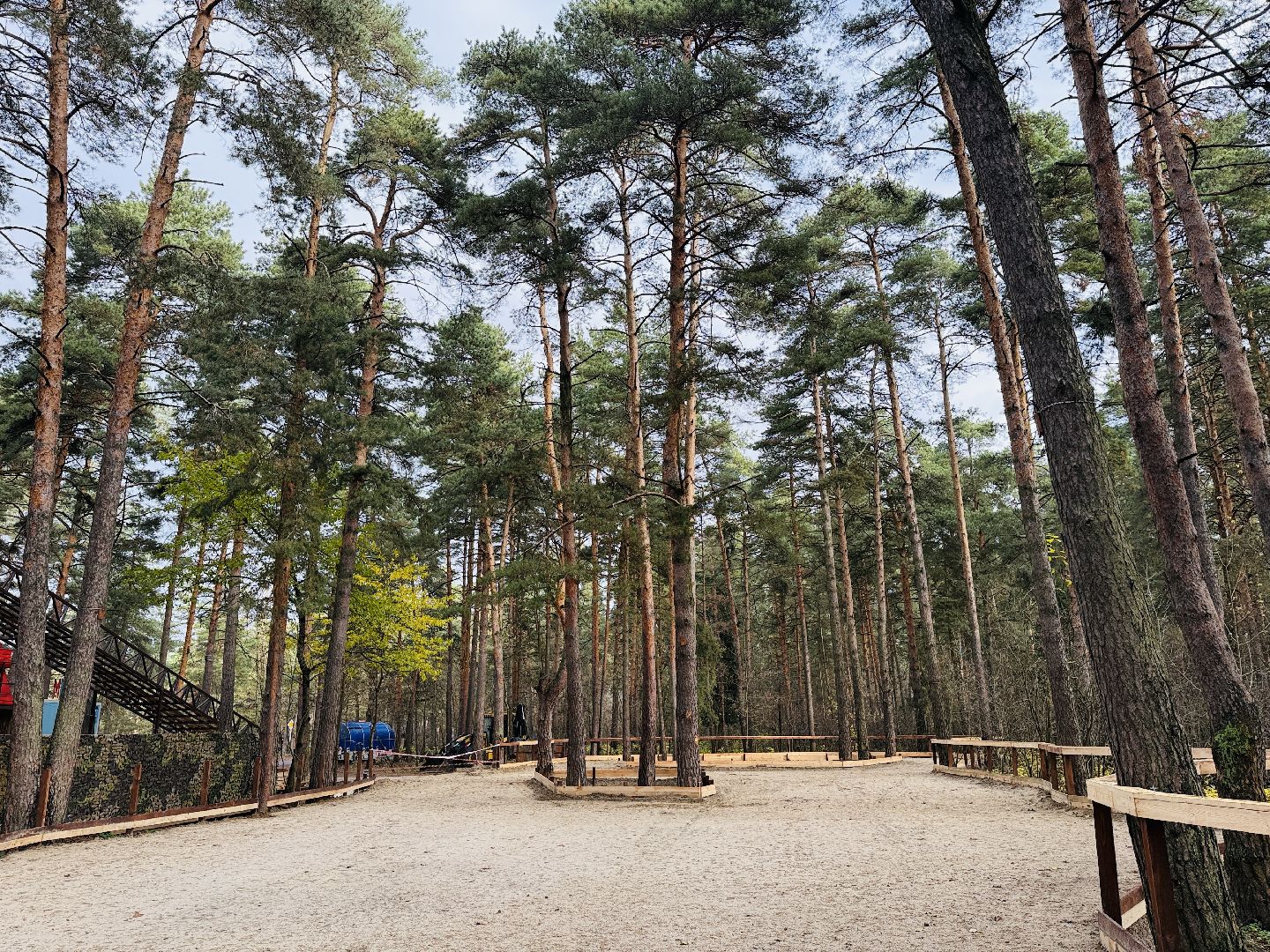 каток, раменское, лесной каток, прайм парк,  зима в подмосковье,