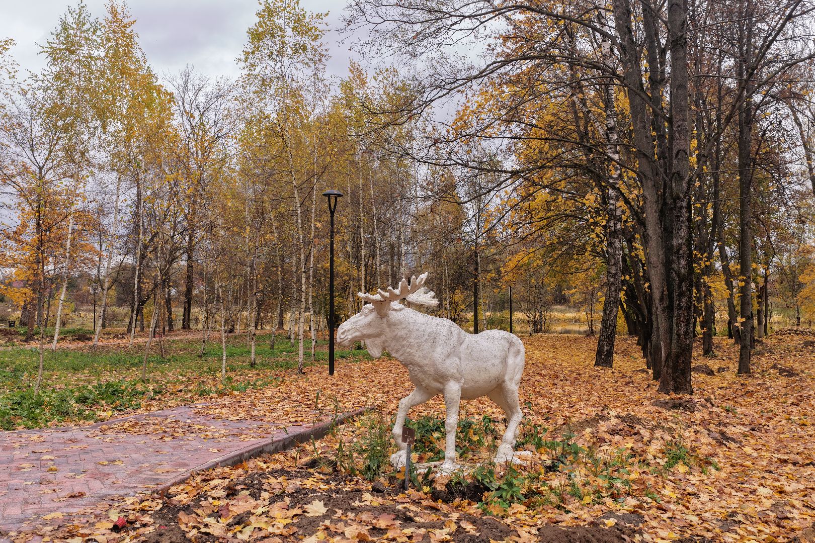 видео с коптера, центральный парк щелково, благоустройство щелково,
