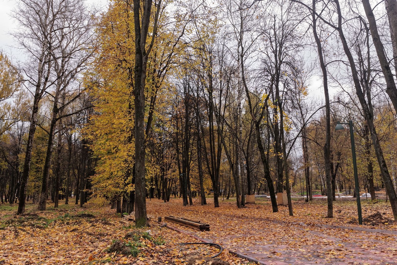 видео с коптера, центральный парк щелково, благоустройство щелково,