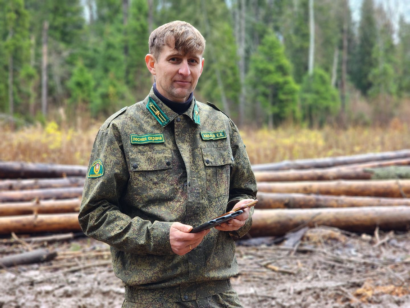 сергиев посад, сергиево-посадский городской округ, высоково, мособллес, санитарная вырубка, выборочная рубка, санитарно-оздоровительные мероприятия, леса подмосковья,