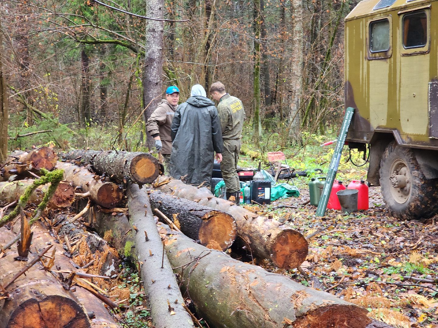 сергиев посад, сергиево-посадский городской округ, высоково, мособллес, санитарная вырубка, выборочная рубка, санитарно-оздоровительные мероприятия, леса подмосковья,