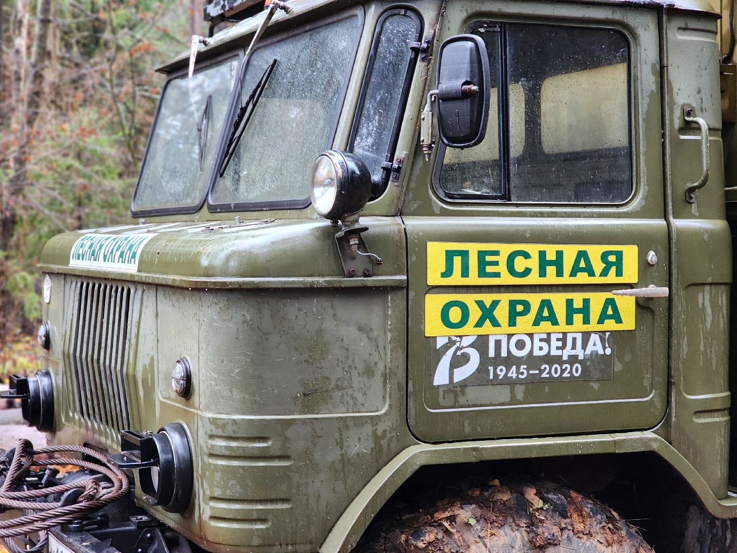 сергиев посад, сергиево-посадский городской округ, высоково, мособллес, санитарная вырубка, выборочная рубка, санитарно-оздоровительные мероприятия, леса подмосковья,