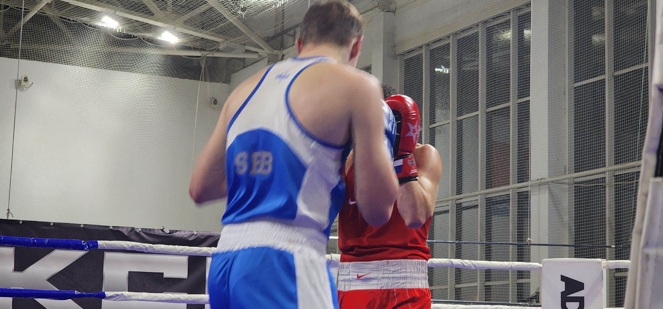 долгопрудный, турнип памяти владимира невского, бокс, кмс, мастер спорта, юниоры,