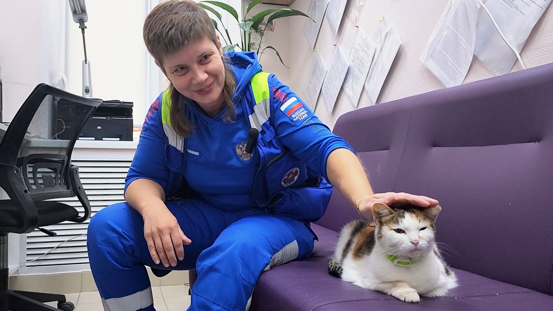 дубна, кошка, скорая помощь,