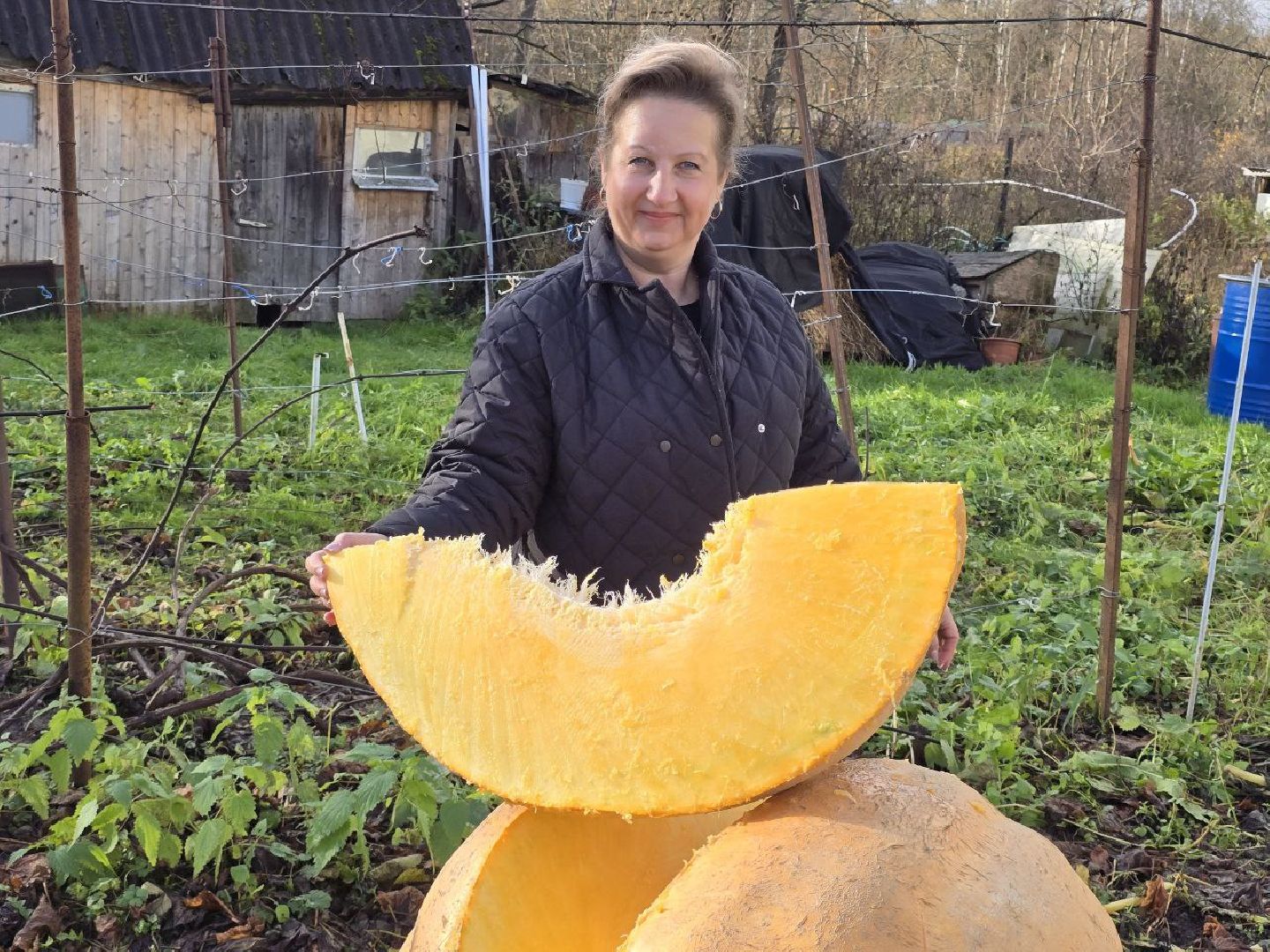 можайск, можайский муниципальный округ, подмосковье, общество, овощи-гиганты, огород, урожай,