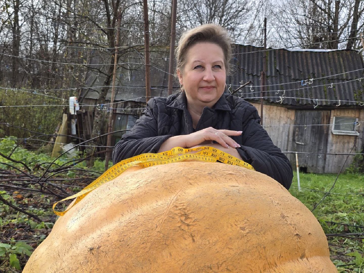 можайск, можайский муниципальный округ, подмосковье, общество, овощи-гиганты, огород, урожай,