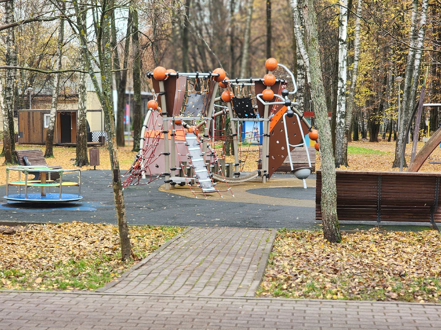 королёв, центральный городской парк, благоустройство, осень, горзеленхозстрой,