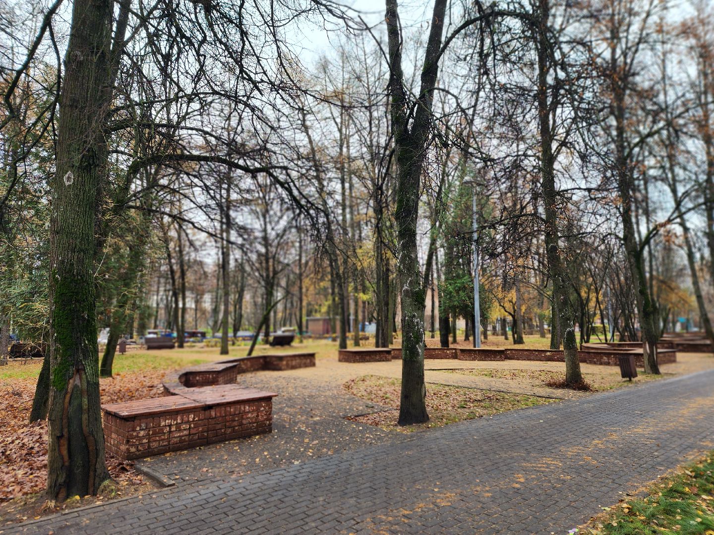 королёв, центральный городской парк, благоустройство, осень, горзеленхозстрой,