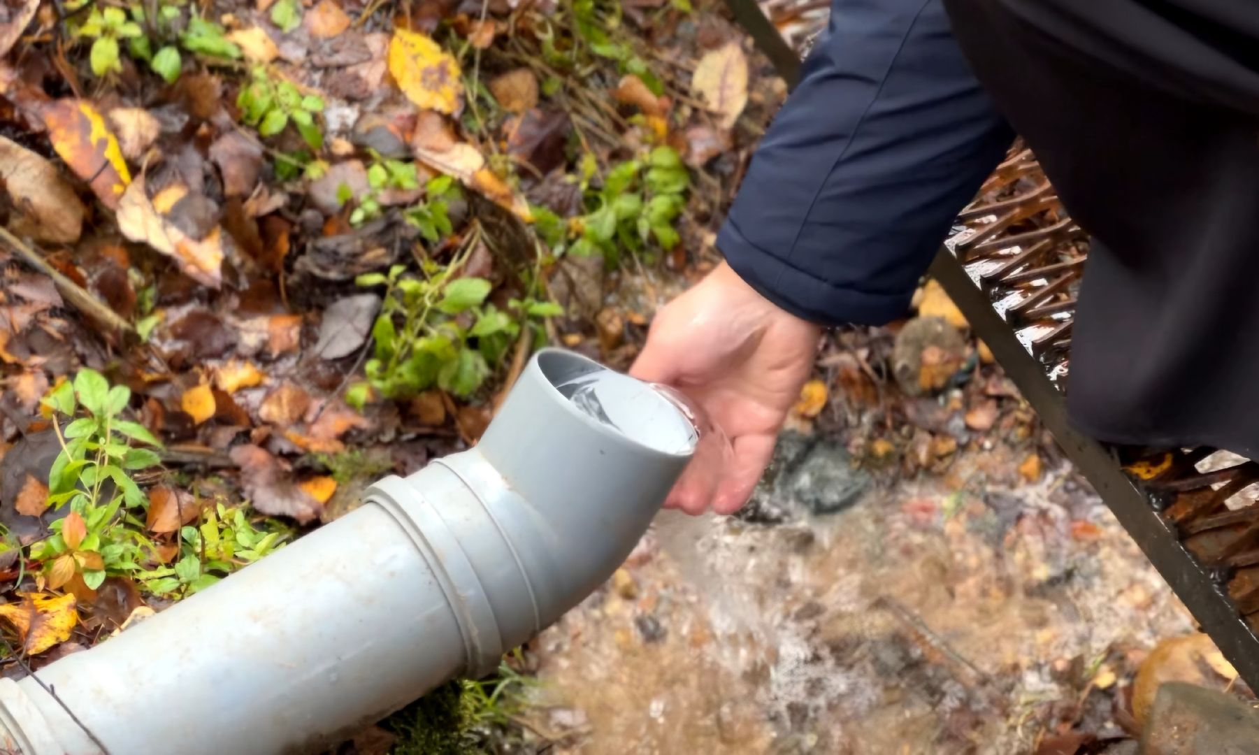 красноармейская, городской округ пушкинский, день добровольца московской области, родник, волонтер,