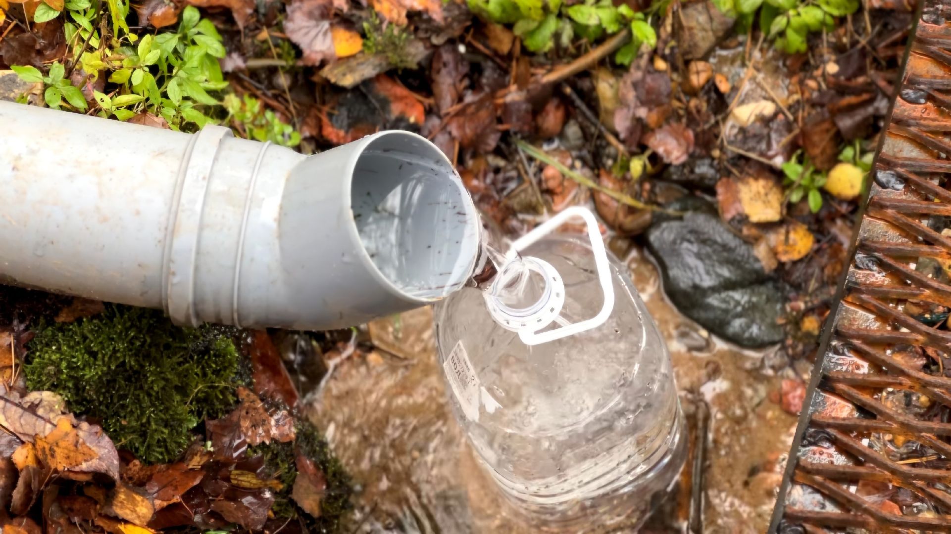 красноармейская, городской округ пушкинский, день добровольца московской области, родник, волонтер,