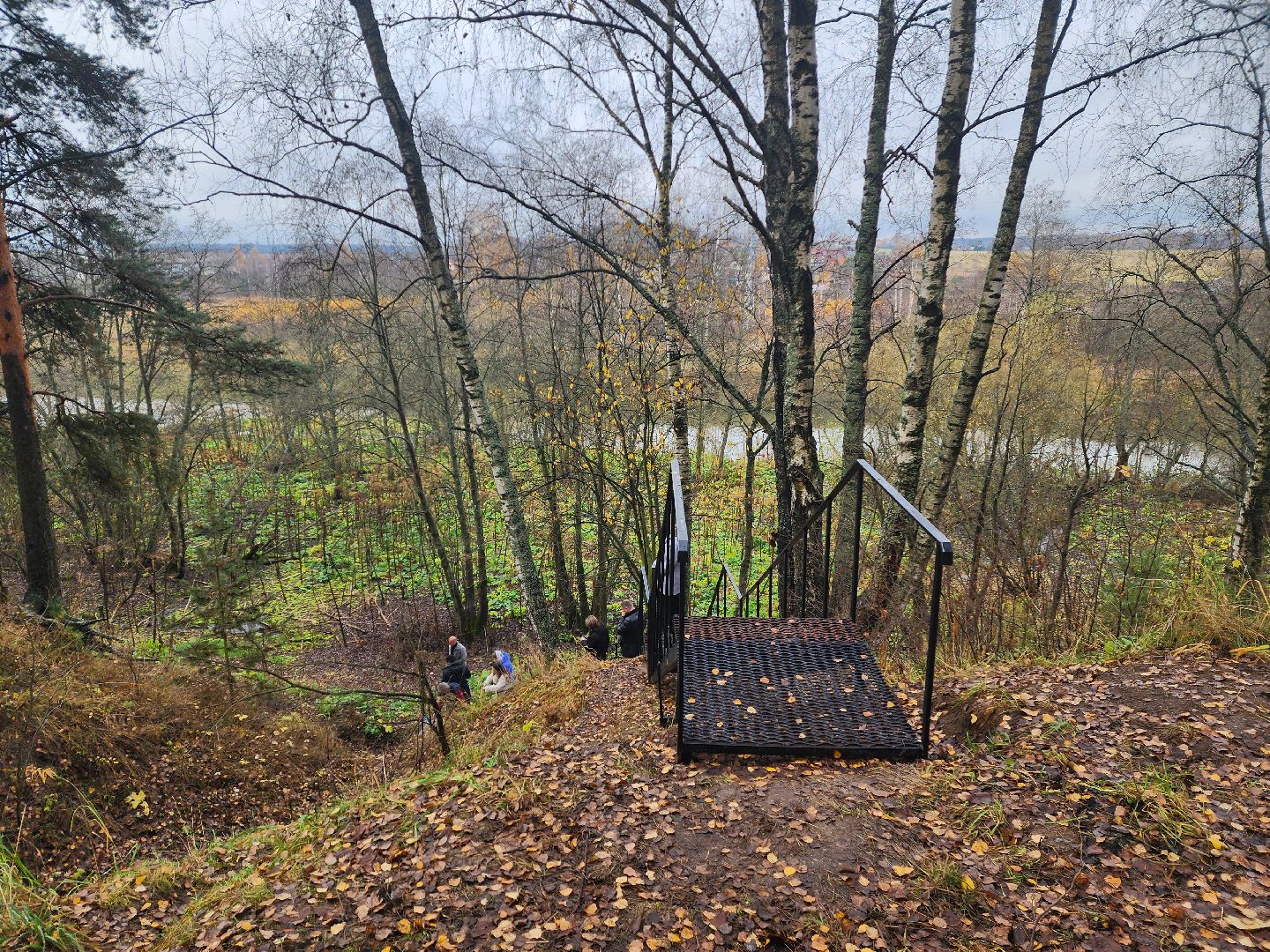 красноармейская, городской округ пушкинский, день добровольца московской области, родник, волонтер,